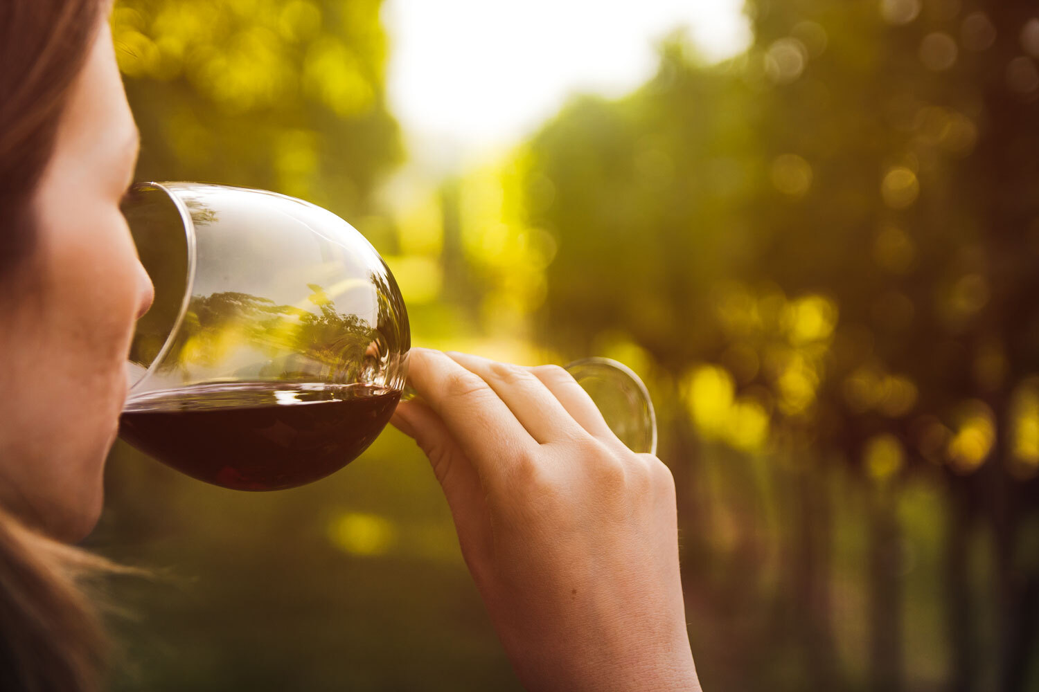 tendenze vino 2023
