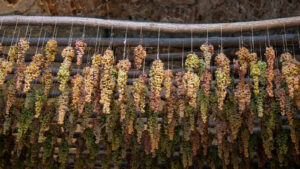 Vino passito che cos’è e come abbinarlo